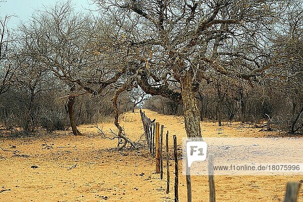 Zaun zwischen 2 Farmen  Straße D2512  Republik Namibia