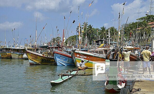 Boats  Harbour  Tangalle  Sri Lanka  Asia