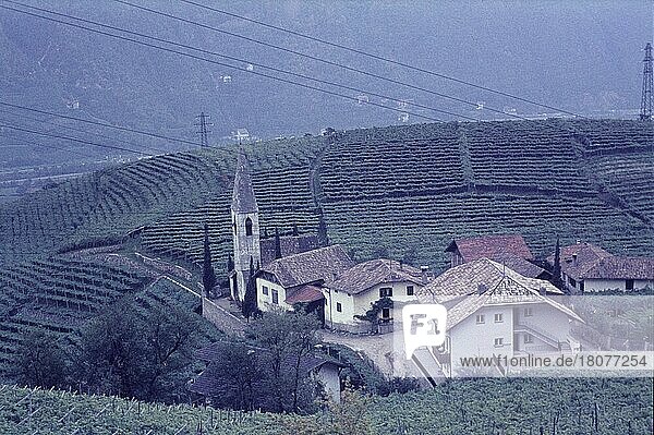 St. Magdalena  Autonome Provinz Bozen  Südtirol  Italien  Weingut  Weinmacher  Weinproduzent  Weinberge  Dorf  dörflich  Sechziger Jahre  60er Jahre  Europa
