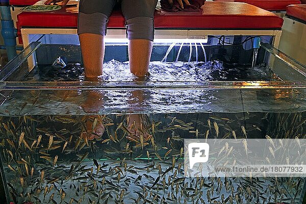 Aquarium mit Fischen zum Entfernen von toter Haut an Füssen und Beinen  Phuket  Thailand  Asien