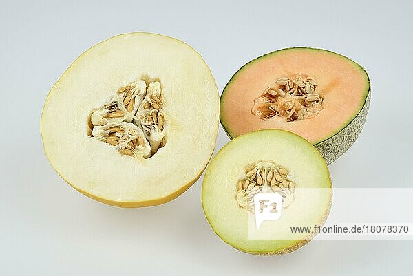 Zuckermelone (Cucumis melo var. cantalupensis)  Cantaloupe  galia melon