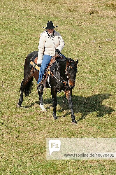 Woman riding American Quarter Horse  stallion  walk