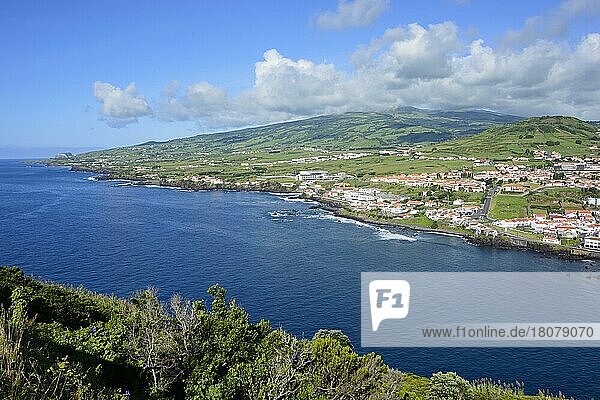 Blick vom Berg Guia auf den Süden von Faial  Azoren  Portugal  Europa