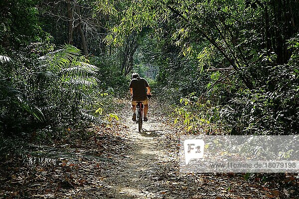 Tourist auf Fahrrad  Don Khon  Mekong  Provinz Champasak  Sued-Laos  Laos  Asien