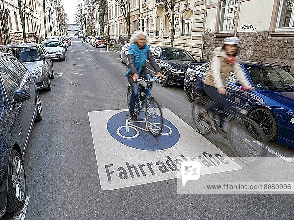 Cyclist on a bicycle road  Offenbach am Main  Hesse  Germany  Europe