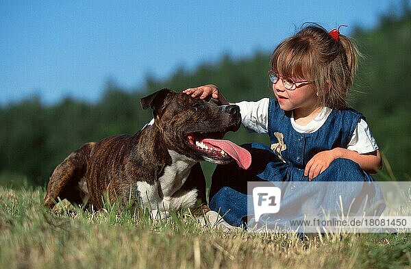 Mädchen mit American Staffordshire-Terrier  Girl with American Staffordshire Terrier (animals) (Säugetiere) (mammals) (Haushund) (domestic dog) (Haustier) (Heimtier) (pet) (außen) (outdoor) (Wiese) (meadow) (freundlich) (friendly) (hecheln) (panting) (liegen) (lie) (lying) (adult) (Kind) (child) (Freundschaft) (friendship) (Mensch & Tier) (human & animal) (Querformat) (horizontal) (Zuneigung) (affection) (zärtlich) (tender)