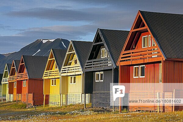 Bunte Holzhäuser in der Siedlung Longyearbyen im Sommer  Svalbard  Norwegen  Europa