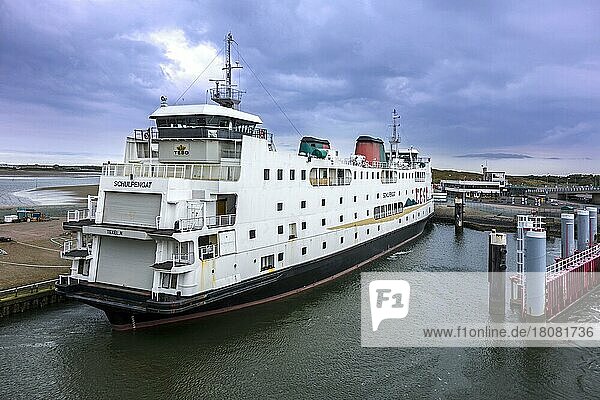 TESO Fährschiff Schulpengat im Hafen von Den Hoorn auf der Insel Texel  Westfriesische Inseln  Nordholland  Niederlande  Europa