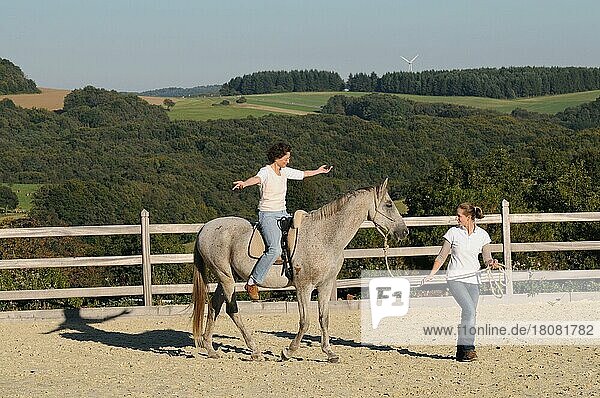 Horseback riding  Achal-Tekkiner  equine assisted therapy  feel  lead rein  riding instructor  riding instructor