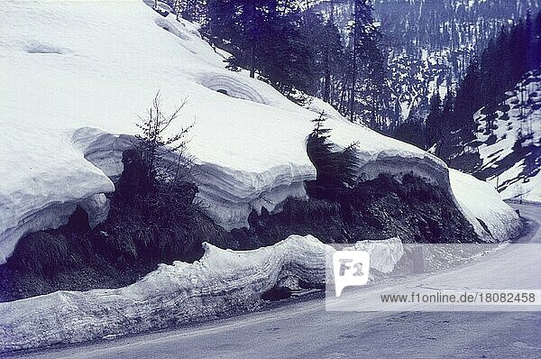 Altschnee am Achenpass  Tirol  Österreich  Schneemassen  Schneeschichten  Frühling  Voralpen  Voralpengebiet  Straßenrand  Siebziger Jahre  70er Jahre  Europa