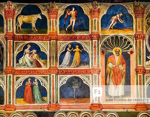 Council Chamber entirely painted with 15th century astrological and religious fresco cycle  Palazzo della Ragione  built as a courthouse  13th c. Padua  Treasury in the heart of Veneto  Italy  Padua  Veneto  Italy  Europe