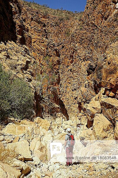 Wanderer in einer Schlucht  OliveTrail  Naukluft Gebirge  Namib-Naukluft Park  Namib-Naukluft National Park  Namibia  Afrika