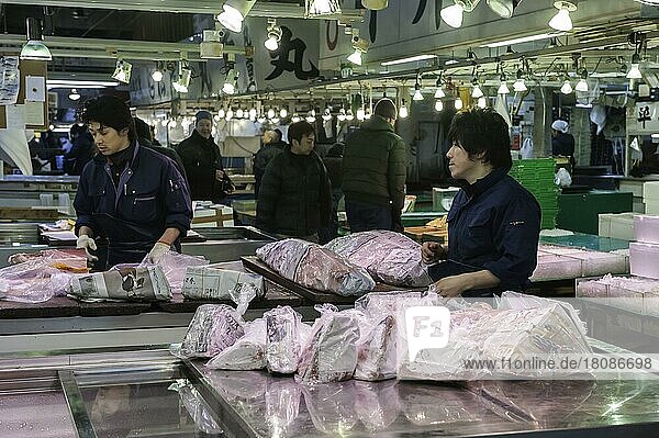 Gelbflossen-Thunfisch (Thunnus albacares) beim Verpacken  Tsukiji Fischmarkt  Tokio  Japan  Asien