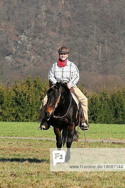 Frau reitet American Quarter Horse  Hengst  Westernreiten mit Sturzhelm  Reithelm  FEI  Geländereiten  Gelanderitt  Ausritt