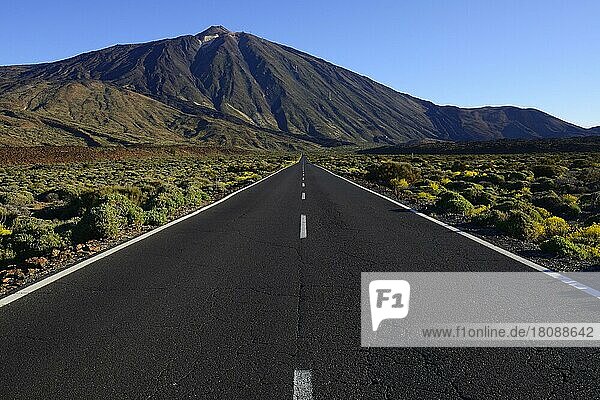 Straße und Vulkan Pico del Teide  Teide Nationalpark  Kanarische Inseln  Teneriffa  Spanien  Europa