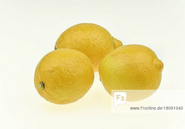 Lemons  Citrus lemon