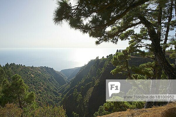 Westküste  La Palma  Kanarische Inseln  Spanien  Europa
