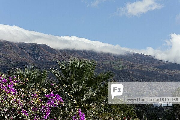 Clouds over Cumbre vieja  Los Llanos de Aridane  La Palma  Spain  Europe