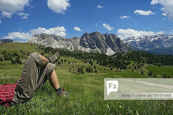 Alpine pasture on the Seceda  Val Gardena  Dolomites  Trentino South Tyrol  Italy  Europe