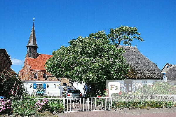 Summer  village  church  Frisian house  holiday  Schaprode  island of Rügen  Mecklenburg-Western Pomerania  Germany  Europe