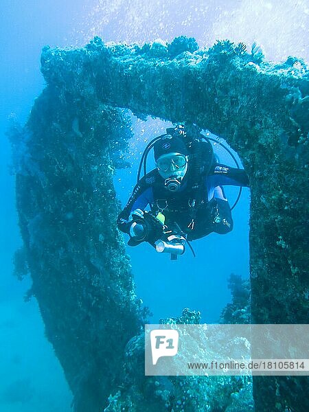 Dunraven Wreck  Red Sea  Egypt  Africa