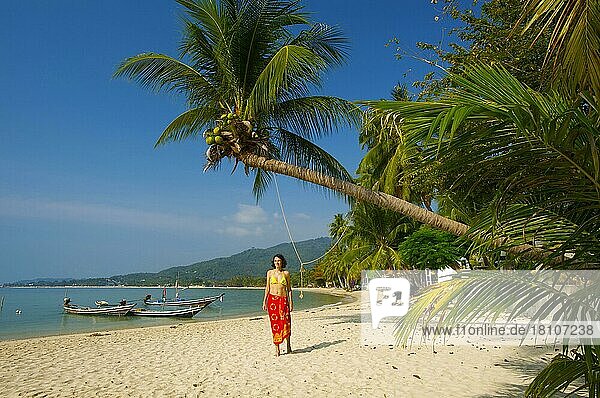 Lamai Beach  Insel Ko Samui  Thailand  Südthailand  Palmenstrand  Palmen  Frau  Menschen  Asien