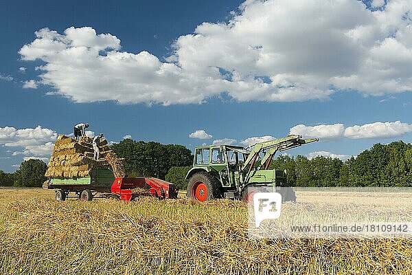 Grain harvest  stubble field  straw  straw baler  Lower Saxony  Germany  Europe