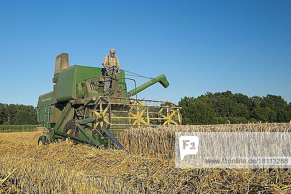 Grain harvest  with combine harvester  John Deere from 1969  Lower Saxony  Germany  Europe