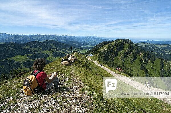 Hochgrat bei Oberstaufen  Blick nach Westen  Allgäu  Bayern  Deutschland  Europa
