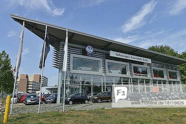 VW  Am Juliusturm  Spandau  Berlin  Deustchland