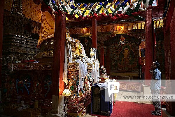Buddha statue  Hemis Festival  Hemis Monastery  Ladakh  Jammu and Kashmir  India  Asia