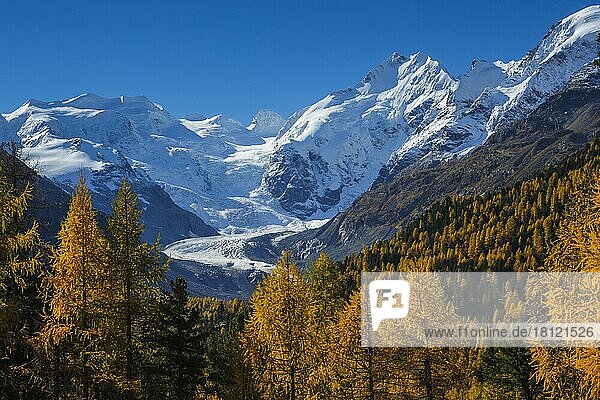 Piz Palü  3905 m  Piz Bernina  4049 m  Morteratsch-Gletscher  Biancograt  Oberengadin  Graubünden  Schweiz  Europa