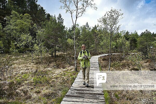 Frau auf Holzsteg  Wanderweg zum Preikestolen  Jorpeland  Rogaland  Norwegen  Europa