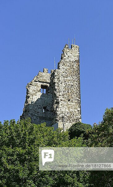Burg Drachenfels  Königswinter  Nordrhein-Westfalen  Deutschland  Europa