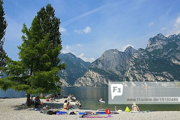 Beach  Lago di  Torbole  Lake Garda  Trentino  Italy  Europe