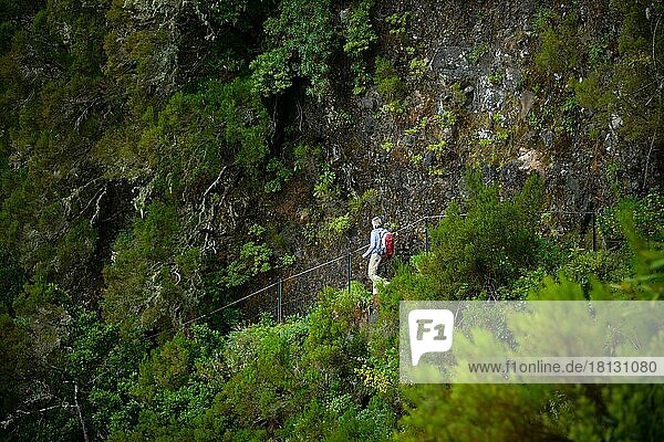 Hiking trail  Rabacal Valley  Central Mountains  Madeira  Portugal  Europe