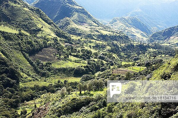 Agrarland  Zerstueckelung vom Nebelwald  Provinz Imbabura  Ekuador