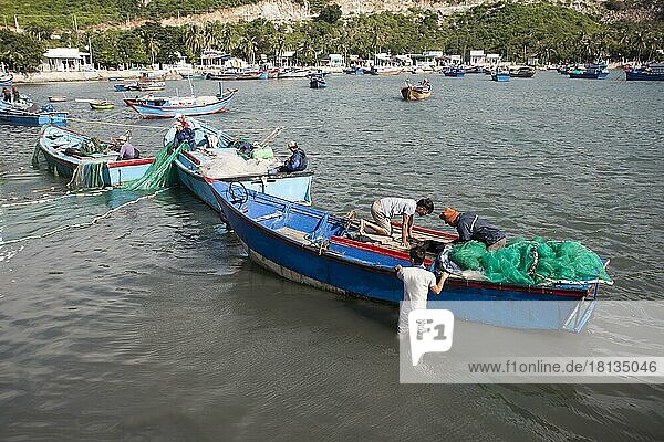 Fishing boat  fishermen unloading the catch  Vinh Hy Bay  South China Sea  Vietnam  Asia