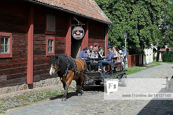 Open-air museum Linköping  Scandinavia  carriage ride with visitors  museum village  Sweden  Europe