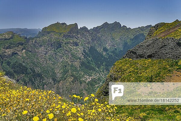 Nonnental  Zentralgebirge  Madeira  Portugal  Europa