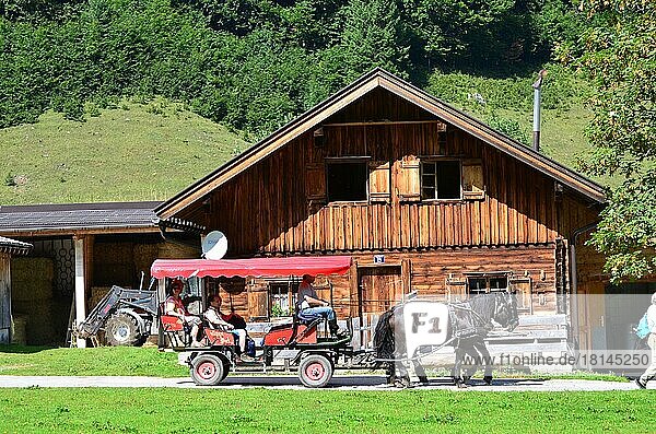 Almdorf  Almhütte  Pferdekutsche  Engalm  Wandergebiet  Tirol  Österreich  Europa
