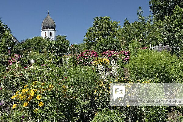 Klostergarten mit blühenden Blumen und dem Kampanile  Glockenturm der Klosteranlage Fraueninsel  Juli  Fraueninsel  Chiemsee  Chiemgau  Bayern  Deutschland  Europa