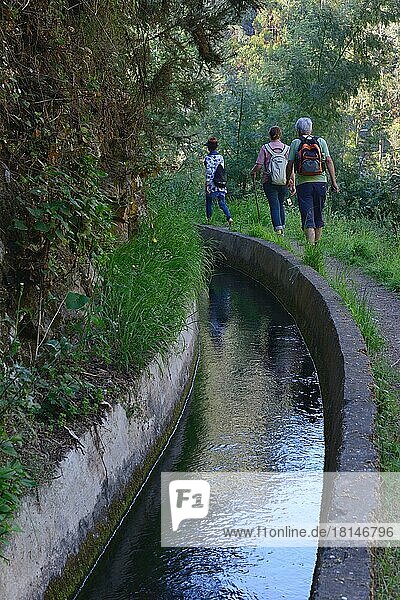 Wanderer entlang einer Levada  Wasserkanal  Lavada do Norte  Madeira  Portugal  Europa