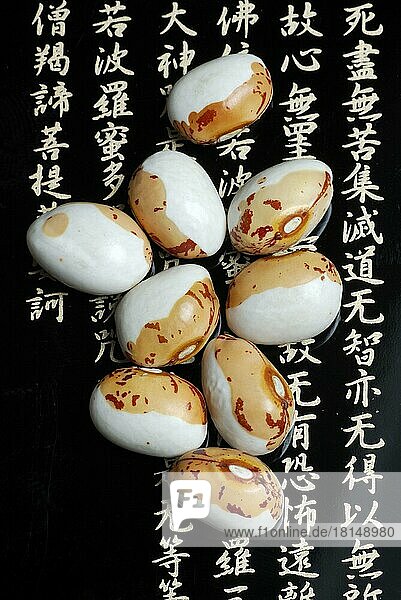 Japanische Sojabohnen (Glycine max)  aus Hokkaido  Soja  Soja-Bohne  Soja-Bohnen  Schriftzeichen