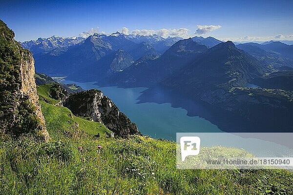 Vierwaldstättersee  Blick vom Fronalpstock  Zentralschweiz  Schweiz  Europa