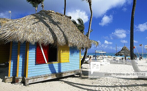 Palmenstrand an der Playa Bavaro  Punta Cana  Dominikanische Republik  Karibik  Mittelamerika