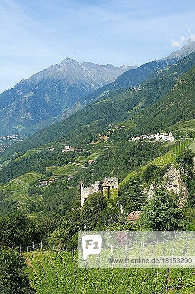 Blick auf Algund mit Schloss Brunnenburg  Etschtal  Südtirol  Italien  Europa