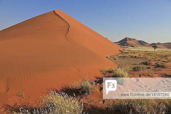 Sanddünen  Düne 40  Sossusvlei  Schatten  Namibia  Afrika