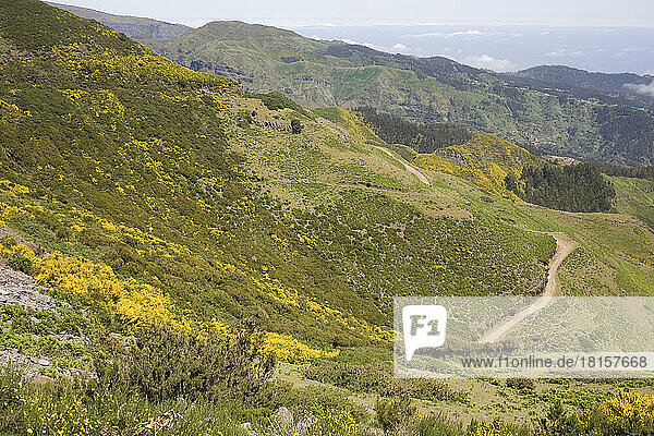 Hügel und Berge im farbenfrohen Hinterland von Madeira vom Aussichtspunkt Pedras aus gesehen  Madeira  Portugal  Atlantik  Europa