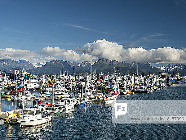 Commercial fishing boats of all kinds and sizes in Homer Harbor in Kachemak Bay  Kenai Peninsula  Alaska  United States of America  North America